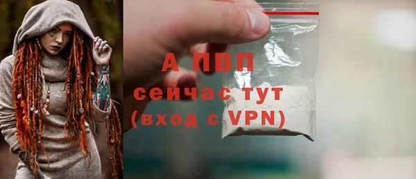 ПСИЛОЦИБИНОВЫЕ ГРИБЫ Елизово