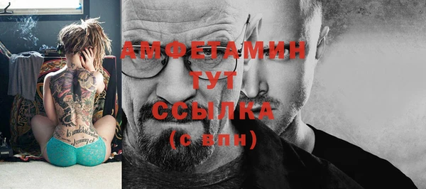 ПСИЛОЦИБИНОВЫЕ ГРИБЫ Елизово