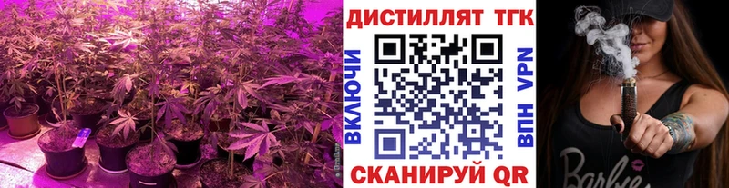 Купить где  Абакан  Дистиллят ТГК Wax 